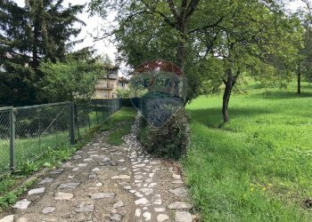 Giardino - Agricultural land Via Camonier
 
13, Zogno - photo 6