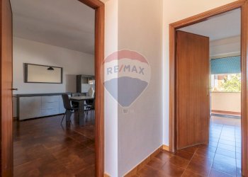 Foto 12 - Quadrilocale Montalto di Castro - foto 11