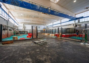 Foto 14 - Capannone Via Quarto, Nichelino - foto 14