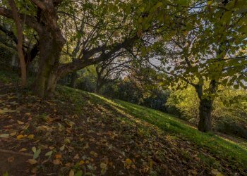 Foto 47 - Villa Corso Moncalieri
 
311, Torino - foto 47