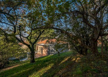 Foto 48 - Villa Corso Moncalieri
 
311, Torino - foto 48