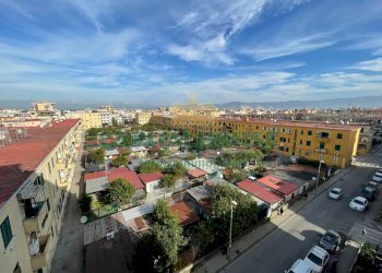 Foto 6 - Quadrilocale Via Francesco Caiazzo, Pomigliano d'Arco - foto 6