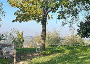 Giardino - Villa Poggio - Pornenzo
 
227, Montecalvo Versiggia - photo 18