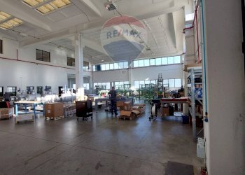 Palestra - Capannone cardano
 
34, Fidenza - foto 10