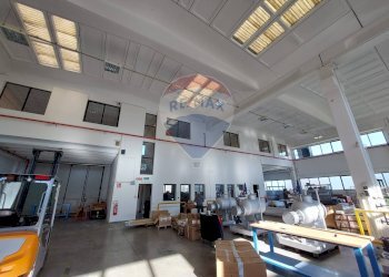 Non correlato - Capannone cardano
 
34, Fidenza - foto 12