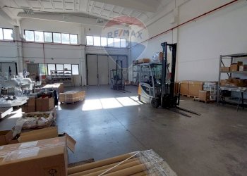 Non correlato - Capannone cardano
 
34, Fidenza - foto 13