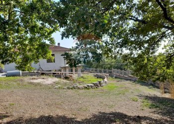 Giardino - Casa indipendente Santi Cosma e Damiano - foto 9