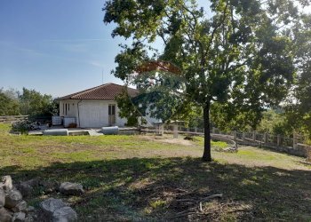 Giardino - Casa indipendente Santi Cosma e Damiano - foto 10