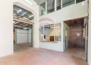 Terrazza - Negozio Via Goethe
 
6-8-10-18, Palermo - foto 5