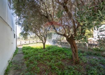 Giardino - Villa Via Alfonso Della Valle
 
20, Cepagatti - foto 21
