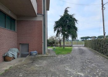 Foto 20 - Attività Commerciale via marco polo
 
148, San Miniato - foto 20