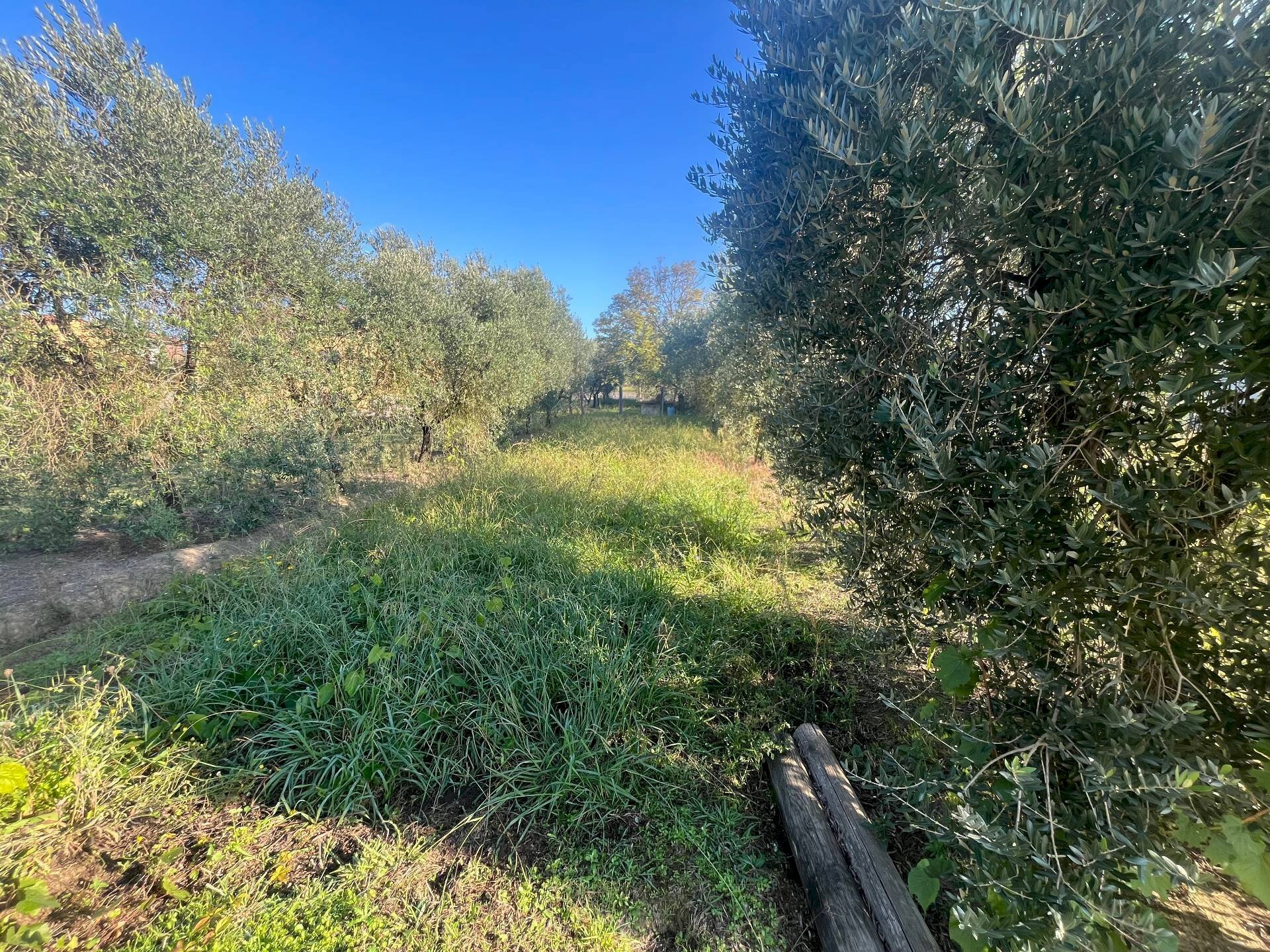 Foto 2 - Terreno edificabile via romana
 
175, Porcari - foto 2