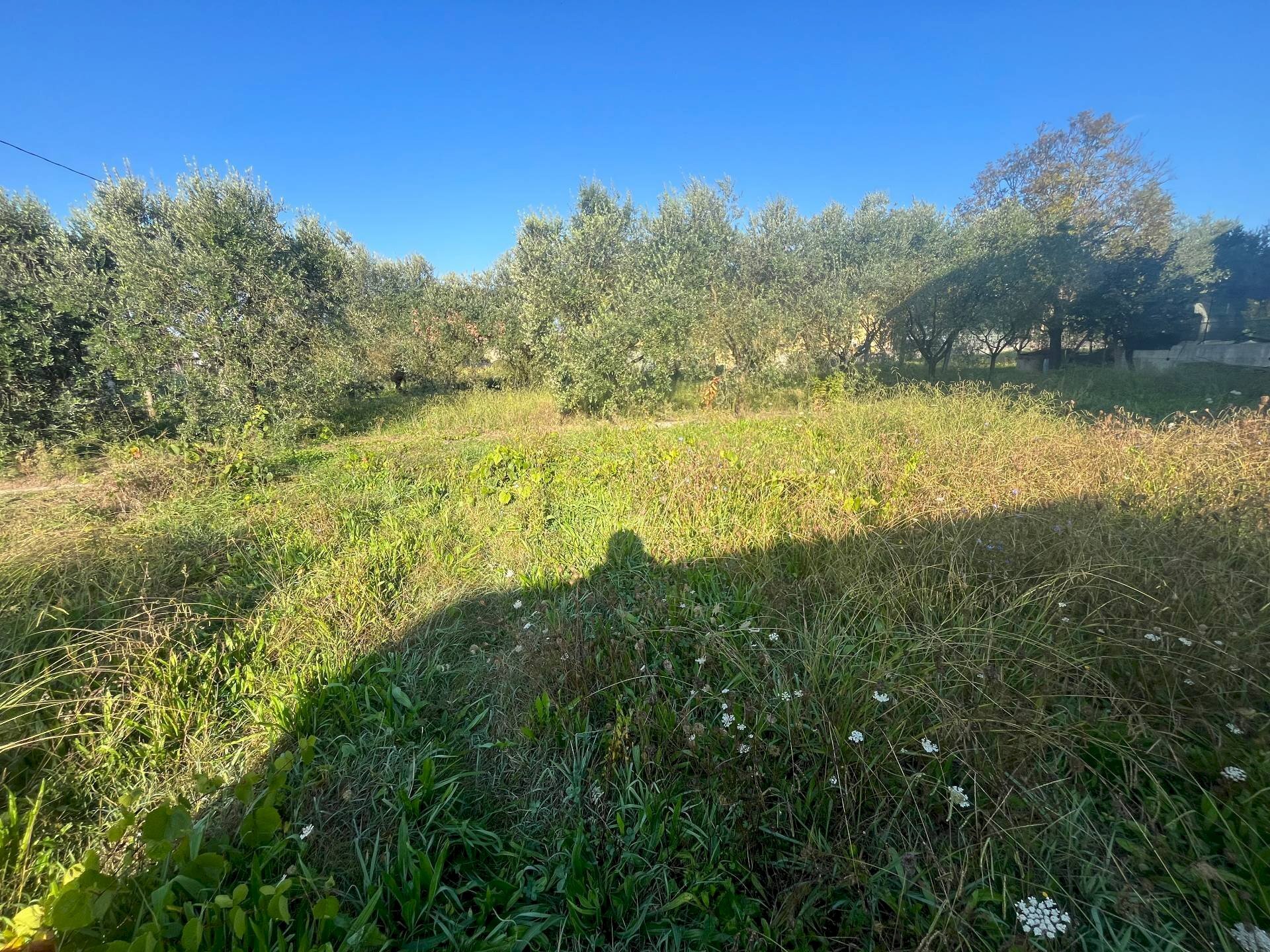 Foto 3 - Terreno edificabile via romana
 
175, Porcari - foto 3