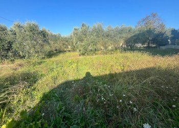 Foto 3 - Terreno edificabile via romana
175, Porcari - foto 3