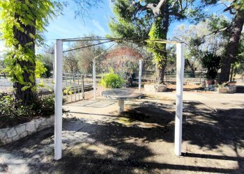 Giardino - Villa Contrada Cantagallo
 
snc, Francavilla Fontana - foto 10