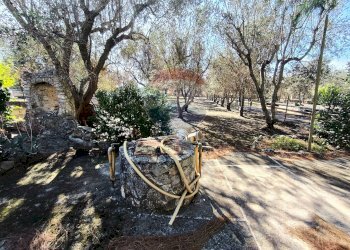 Giardino - Villa Contrada Cantagallo
 
snc, Francavilla Fontana - foto 12