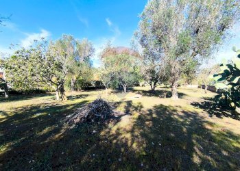 Giardino - Villa Contrada Cantagallo
 
snc, Francavilla Fontana - foto 18