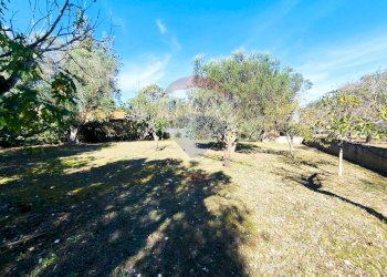 Giardino - Villa Contrada Cantagallo
 
snc, Francavilla Fontana - foto 19