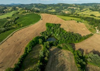 Foto 29 - Villa Voc. Villa dei Bizzi
 
48, Città di Castello - foto 29