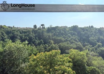 Foto 31 - Bilocale vicolo scaloni
 
11, Zagarolo - foto 31