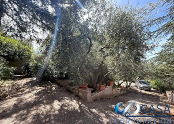 Foto 2 - Villa via dell'uliveto
 
19, Palombara Sabina - foto 2