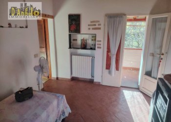 Foto 16 - Rustic Contrada Tesino
 
235, Offida - photo 16