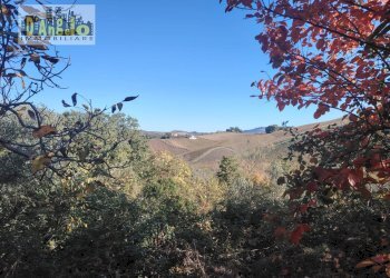 Foto 21 - Rustic Contrada Tesino
 
235, Offida - photo 21