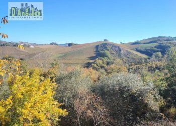 Foto 23 - Rustic Contrada Tesino
 
235, Offida - photo 23