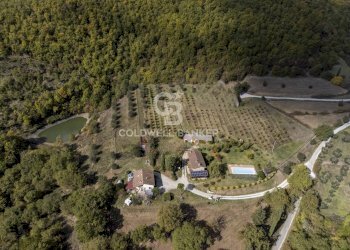 Foto 20 - Rustico Case Sparse Val di Pierle San Donnino
 
76/A, Cortona - foto 20