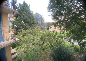 GIARDINO CONDOMINIALE - Bilocale VIA DEMONTE
 
6, Milano - foto 5