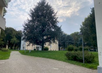 CONDOMINIO - Bilocale VIA DEMONTE
 
6, Milano - foto 17