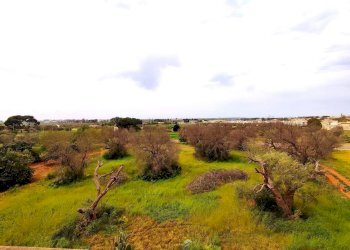 Foto 25 - Appartamento Via San Simone, Sannicola - foto 25