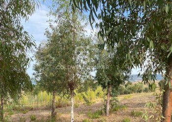 Foto 2 - Terreno edificabile Contrada Montebello, Montenero di Bisaccia - foto 2