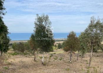 Foto 5 - Terreno edificabile Contrada Montebello, Montenero di Bisaccia - foto 5