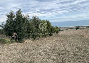 Foto 6 - Terreno edificabile Contrada Montebello, Montenero di Bisaccia - foto 6