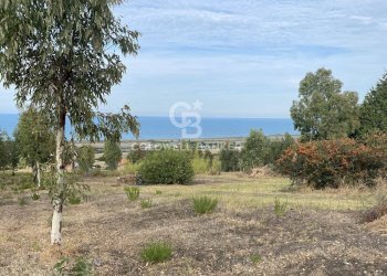 Foto 7 - Terreno edificabile Contrada Montebello, Montenero di Bisaccia - foto 7