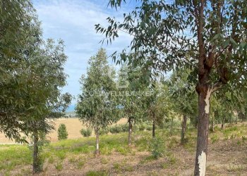 Foto 8 - Terreno edificabile Contrada Montebello, Montenero di Bisaccia - foto 8