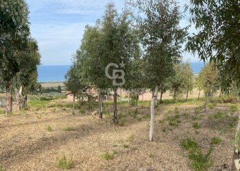 Foto 10 - Terreno edificabile Contrada Montebello, Montenero di Bisaccia - foto 10