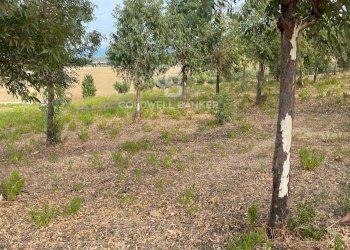 Foto 11 - Terreno edificabile Contrada Montebello, Montenero di Bisaccia - foto 11