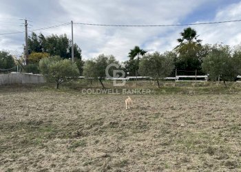 Foto 18 - Terreno edificabile Contrada Montebello, Montenero di Bisaccia - foto 18