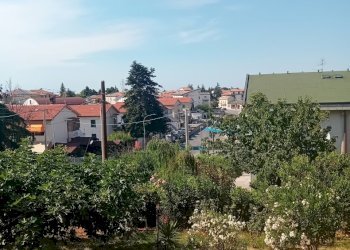 20250702_164604.jpg - Appartamento VIa M. Giuseppe 2, Orsogna - foto 16