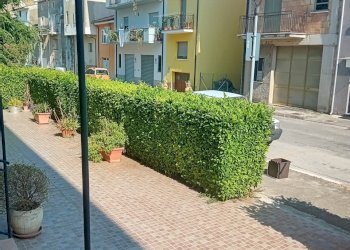 20250702_164658.jpg - Appartamento VIa M. Giuseppe 2, Orsogna - foto 18