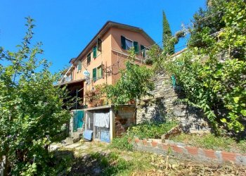 23.jpg - Terratetto - Terracielo Avegno - foto 24