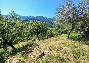 24.jpg - Terratetto - Terracielo Avegno - foto 25