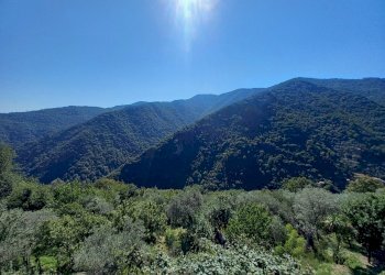 28.jpg - Terratetto - Terracielo Avegno - foto 29