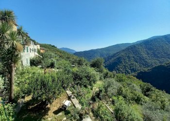 29.jpg - Terratetto - Terracielo Avegno - foto 30