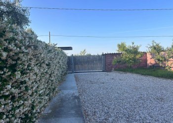 Immagine WhatsApp 2025-06-04 ore 19.30.31_374002af - Villa a Schiera Viale Maiella 23/A, Francavilla al Mare - foto 16