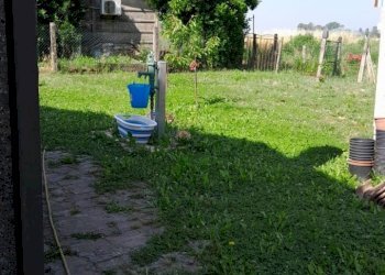 ae7a308c-8527-4704-ad4c-4ba85896f2e5 (1).JPG - Villa Frassinelle Polesine - foto 4