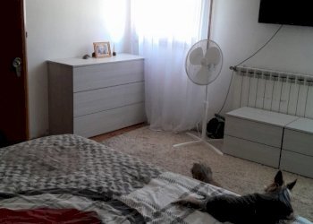 2c5cf2bb-9f9e-49e7-a153-3cd2153599ac.JPG - Villa Frassinelle Polesine - foto 15