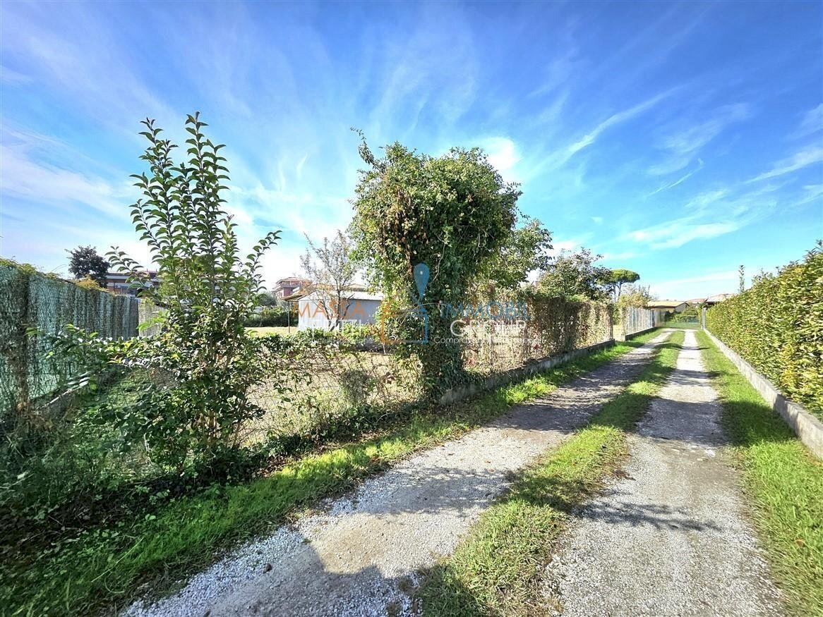 18.jpg - Agricultural land Via Venezia 70, Massa - photo 2